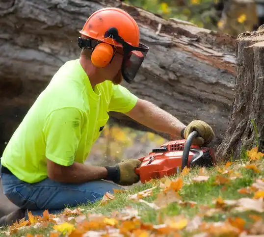 tree services Gibsonburg